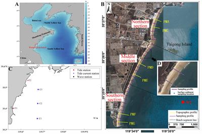 Hydrodynamic mechanisms of topographic evolution in straight sandy beach: a case study of Wanpingkou beach, China